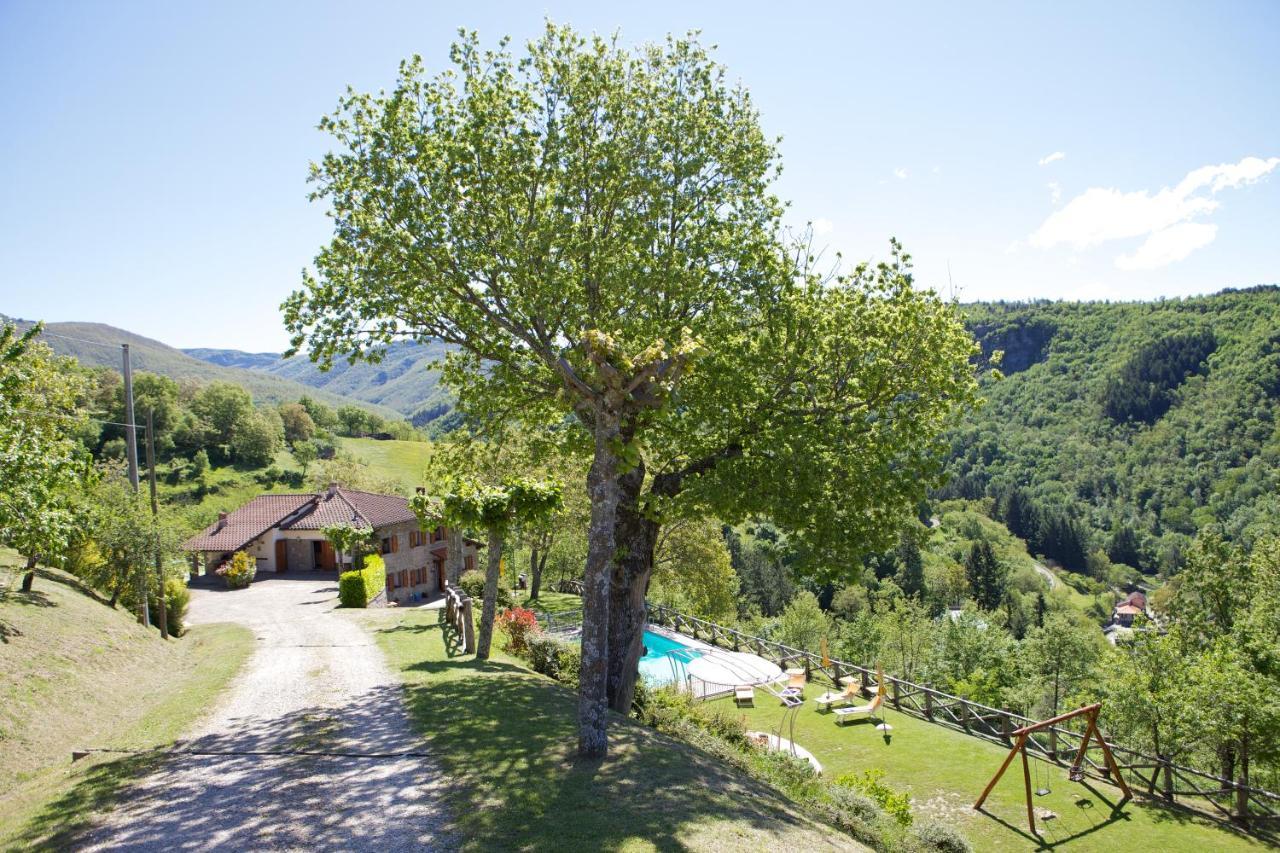 Villa La Scatolaia Stia Exterior foto